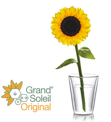 Grand Soleil Logo